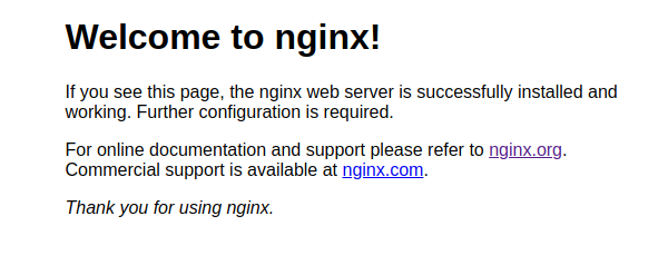 nginx success
